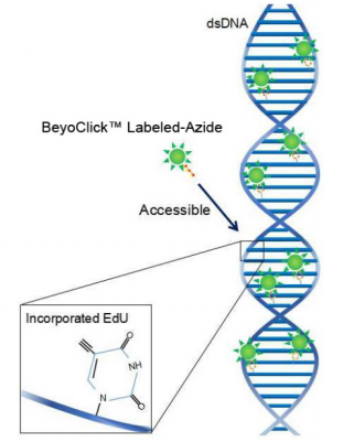 1631756558366121.png 图片1.png